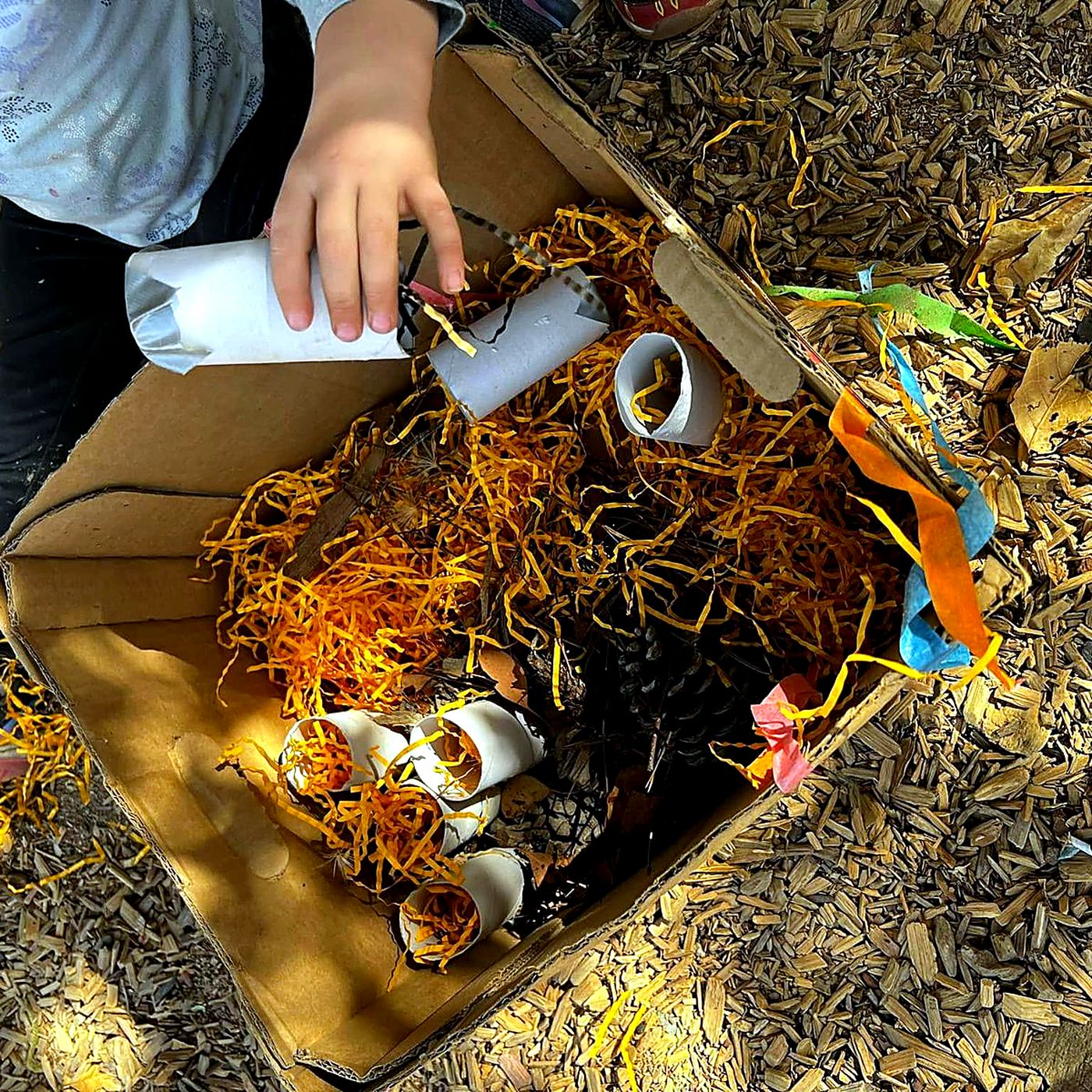Natural loose parts arranged in a box on wood chips