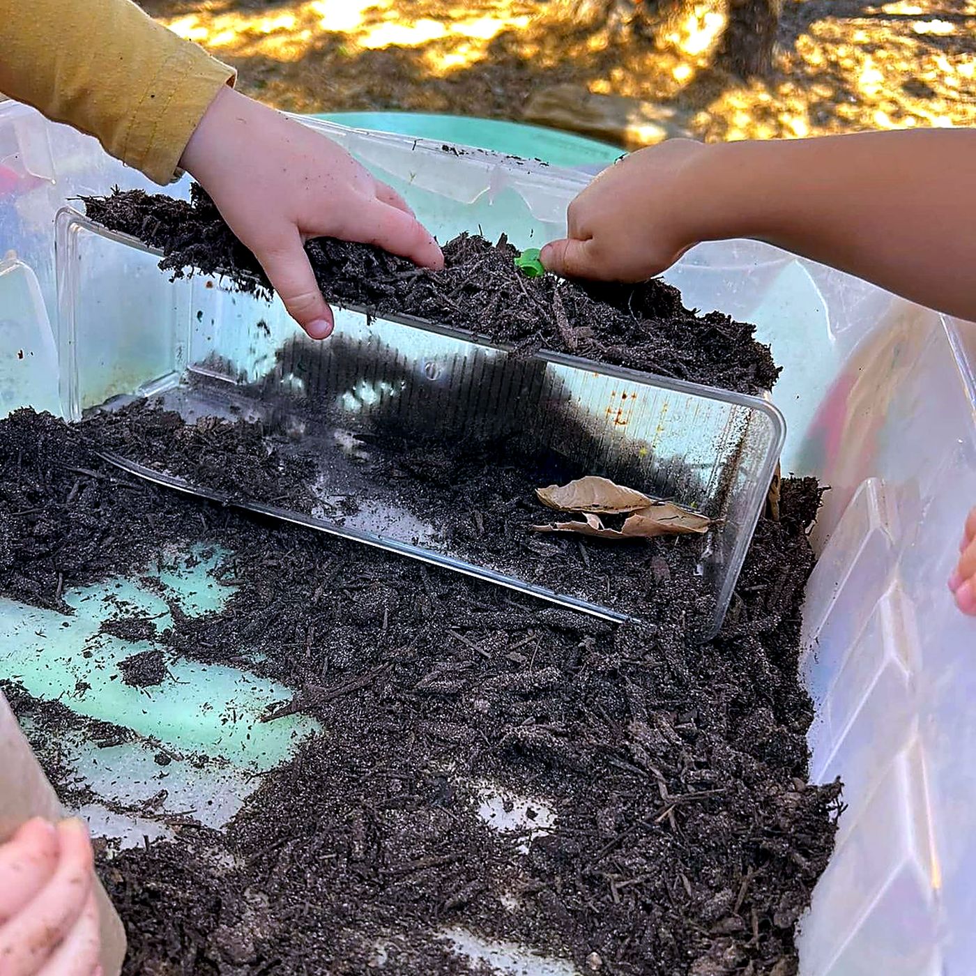 Small hands sifting soil in a tray, lit by low golden sunlight